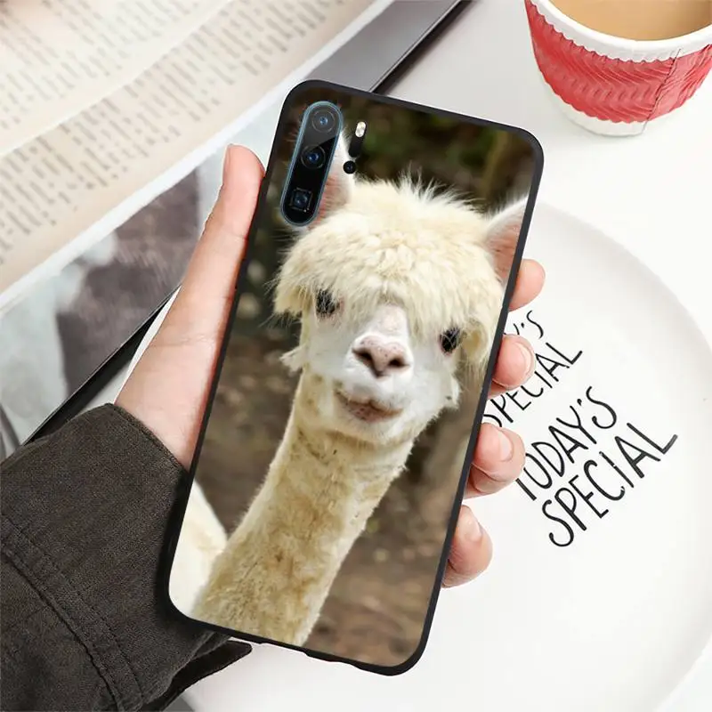 

Lama Llama Alpacas Phone Case For Huawei honor Mate P 10 20 30 40 i 9 8 pro x Lite smart 2019 nova 5t luxury capa cover