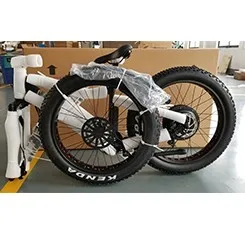 Sr20b Профессиональный 20 дюймов 48 в 750 Вт Снежный велосипед складной электровелосипед на толстых покрышках bicicleta Электрический велосипед Ebike eurobike