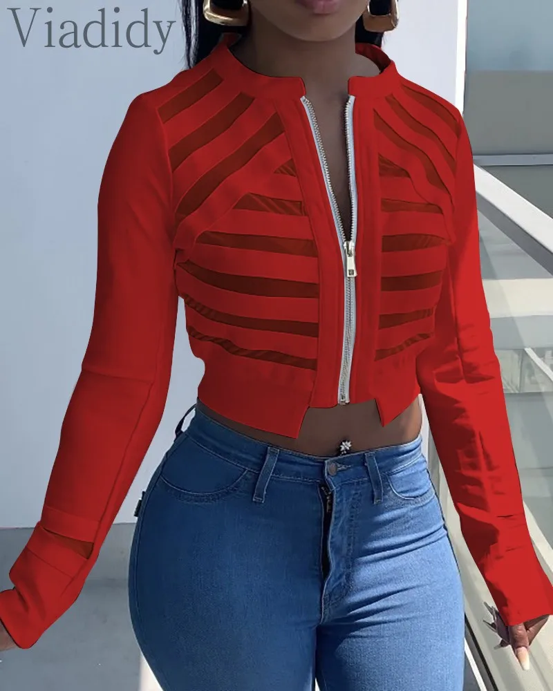 

Women Red Sheer Mesh Zip Front Long Sleeve Crop Coat