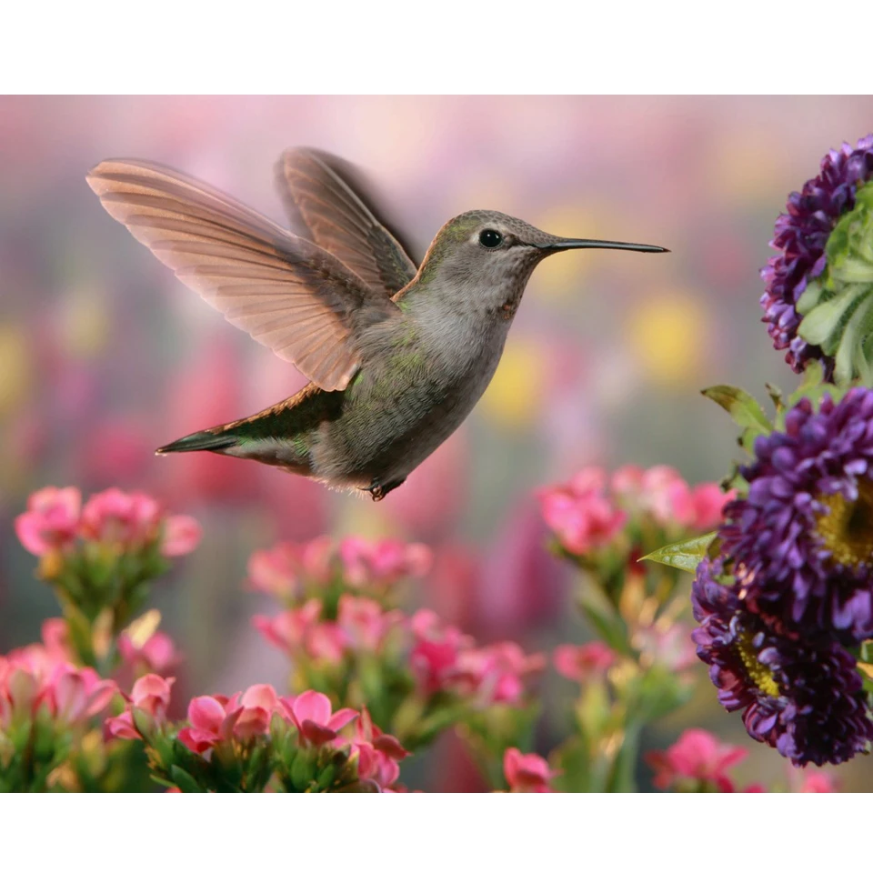 

5D DIY Full Square/round Diamond Painting Flowers and birds Embroidery Cross Stitch Rhinestone Mosaic Home Decor