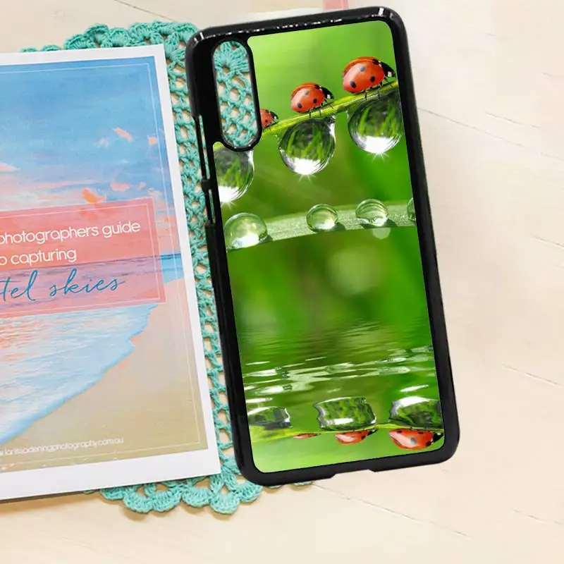 

Maple leaves cute animal luxury brand shell Phone Case PC for iPhone 11 12 pro XS MAX 8 7 6 6S Plus X 5S SE 2020 XR