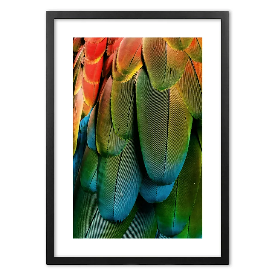 Скандинавские Современные разноцветные перышки попугая Скандинавское