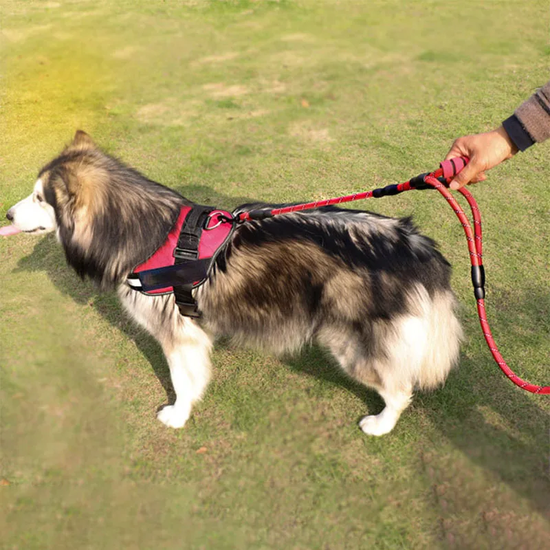 Двойной пенопластовый поводок для больших собак Светоотражающий Поводок