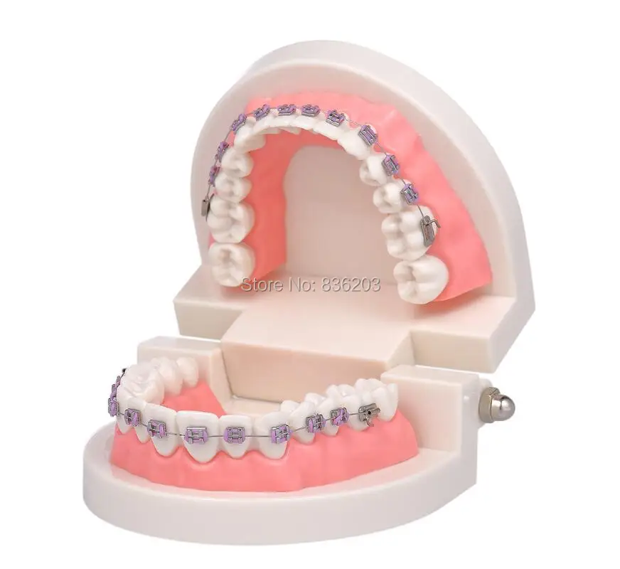 Стоматологическое лабораторное оборудование отбеливание зубов ортодонтический