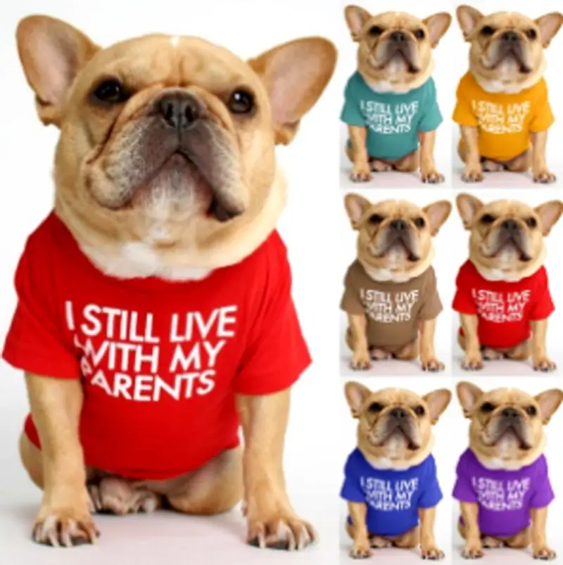 

Pet Casual Wear French Bulldog Pullover Round Neck T-Shirt Bichon Teddy Small and Medium-Sized Dog Pug Home Fashion Clothing