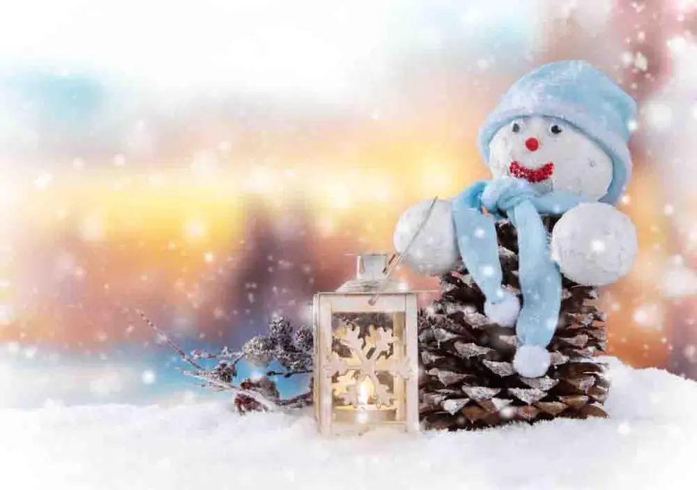 

Vinyl Custom Photography Prop Christmas day theme Photo Studio Background S19907-8121