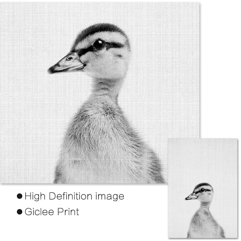 Детский плакат с изображением утки животных черно белых животных|Рисование и