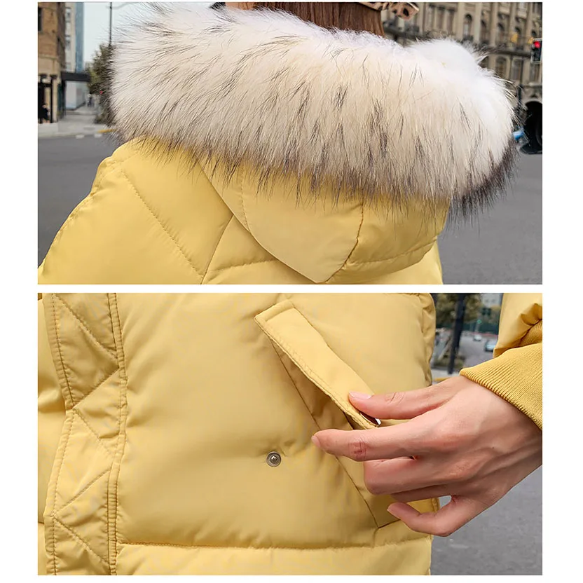 

2019 New down cotton jacket for women loose hot style fashion students short style big hair collar WOC55