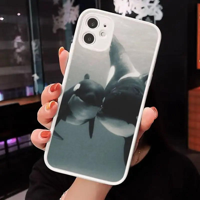 

Killer Whale Orca Phone Cases Matte transparent For White iPhone 12 Mini 11 Pro XR XS Max 7 8 Plus X Back Cover