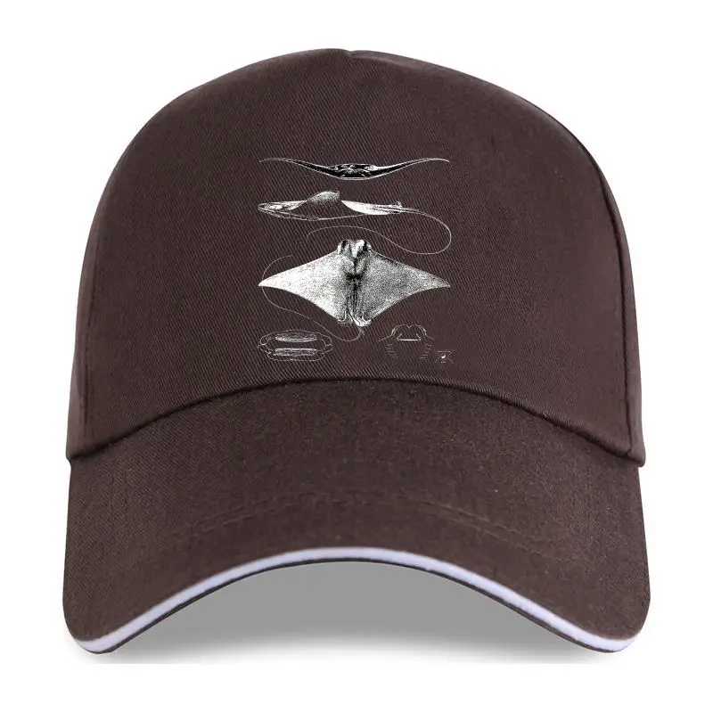 

New 2021 2021 Baseball cap Casual Stingray Anatomy | Sharks Rays Oceanography Sea Life Man Good Quality