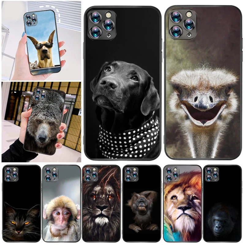 

For iPhone 12 12Pro Phone Case For iPhone 12 Mini Case Soft Touch TPU Silicon For iPhone 12 Pro Max Cute Anime Shockproof Funda