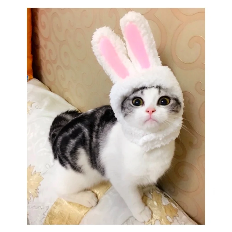 Кошек и собак повязка на голову с милым кроликом Косплэй Кепки кошка головной
