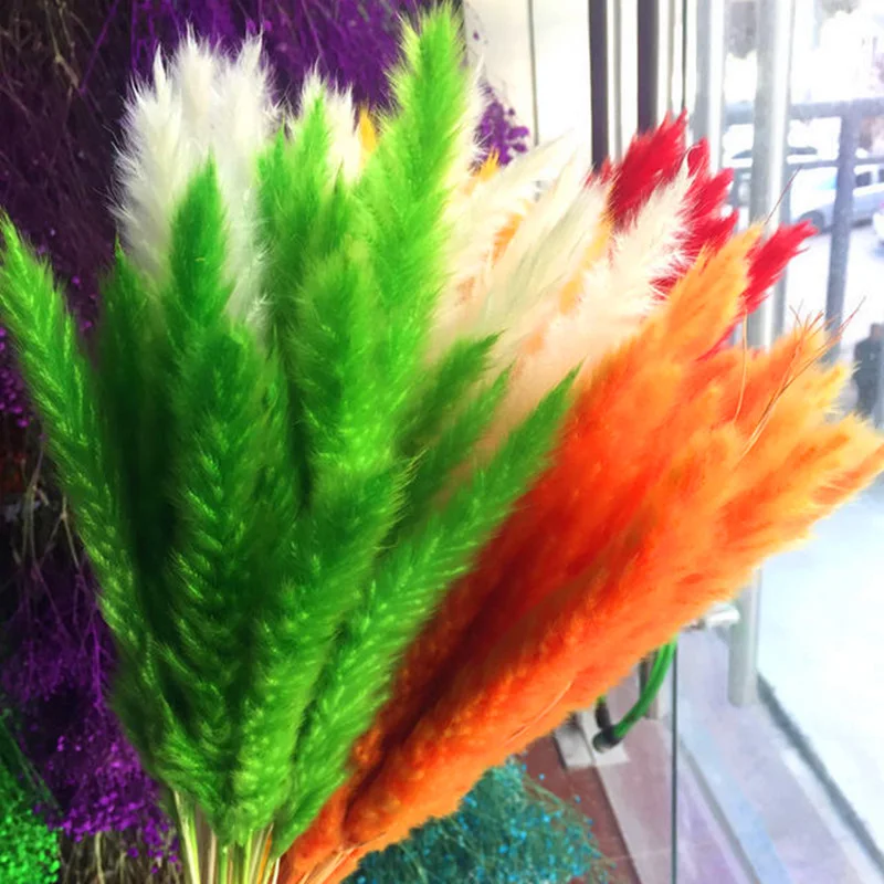 10 шт. Bulrush натуральный Рид высушенная маленькая пампасная трава Phragmites коммун