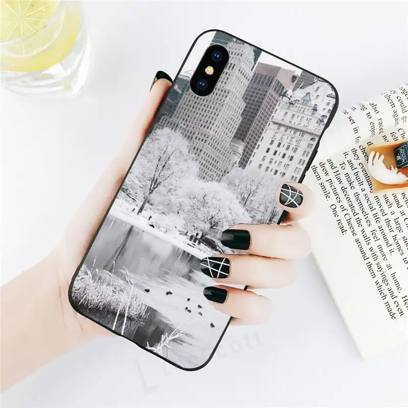 

Winter New York Central Phone Case for iPhone 11 12 pro XS MAX 8 7 6 6S Plus X 5S SE 2020 XR