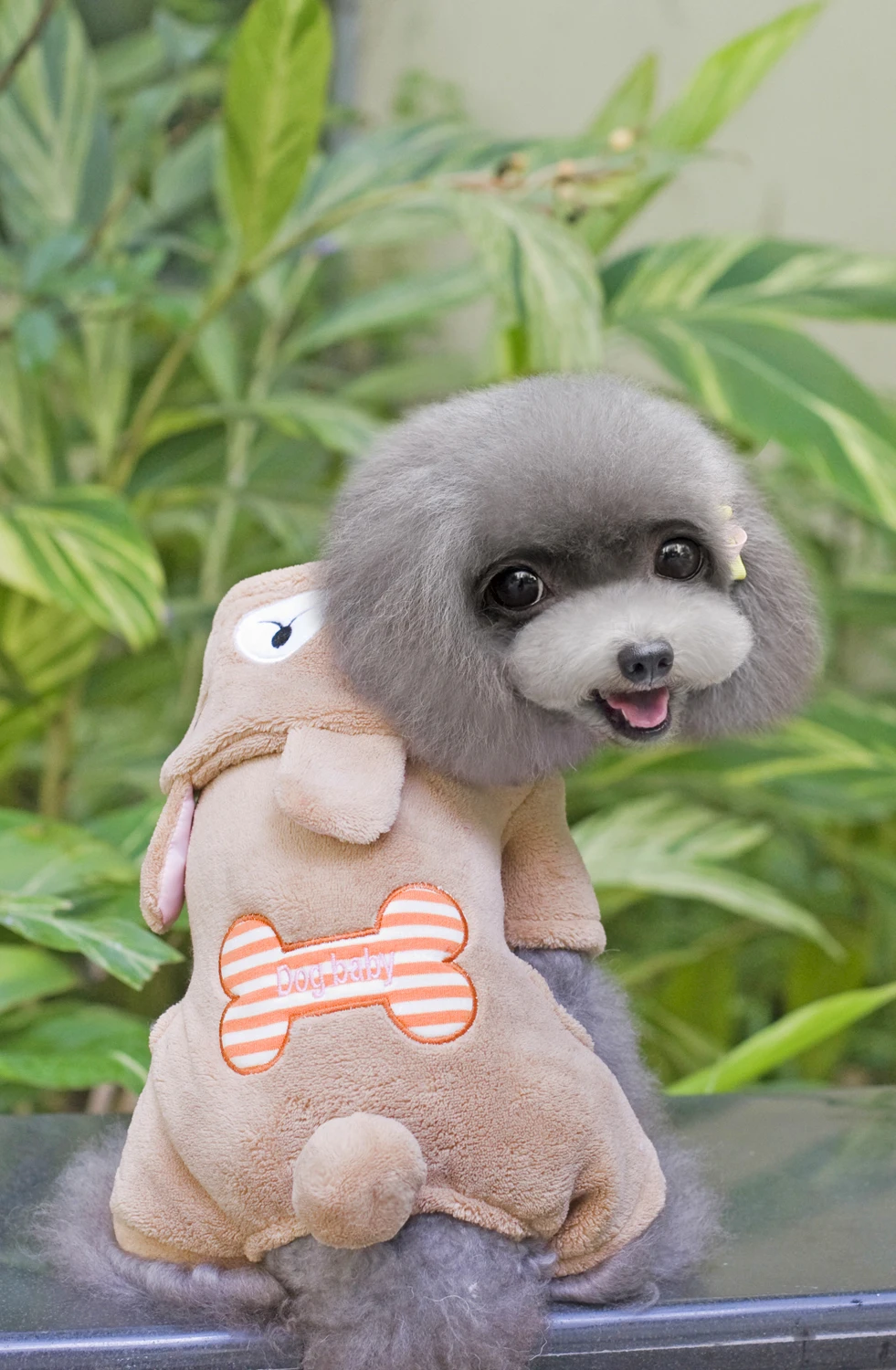 Цена Теплая зимняя одежда с рисунком костей для собак и щенков, толстовки, пальто для собак, свитер, комбинезон, пижама, верхняя одежда, товары для...