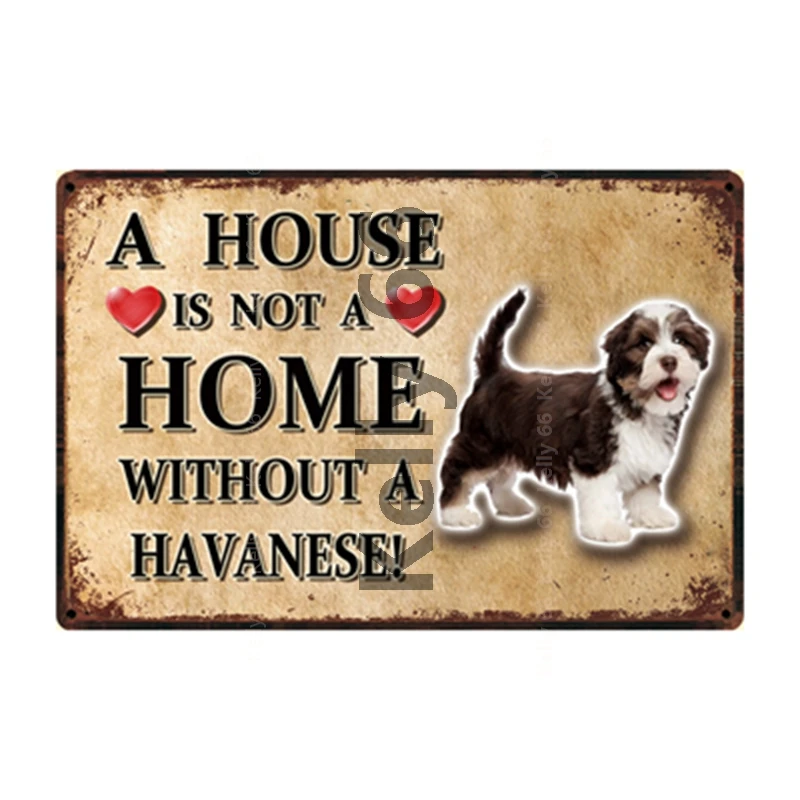 

[ Kelly66 ] Pet Dog Rules With Keeshond Havanese Bearded Collie Metal Sign Home Decor Bar Wall Art Painting 20*30 CM Size DG-45