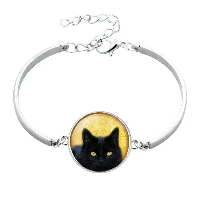 BTWGL Ретро черный кошачий глаз птица картина металлическая цепочка