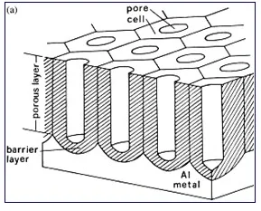 

U-shaped single-pass AAO nano template D: 300nm-D: 700nm