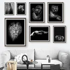 Jaguar Gorilla Сова медведь лошадь черный белый настенный художественный холст картина скандинавские плакаты и принты настенные картинки для декора гостиной
