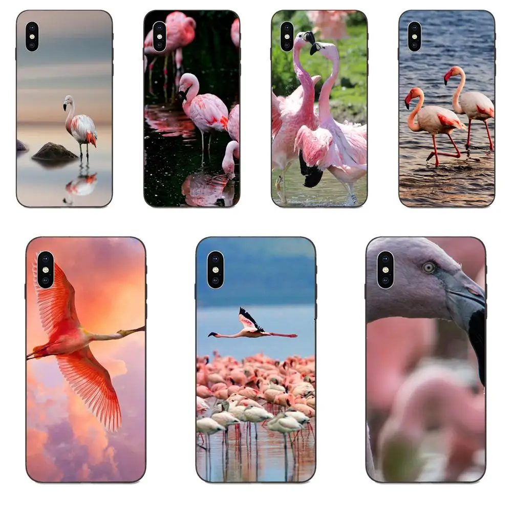 Красивый летний резиновый чехол для телефона с фламинго Apple iPhone 11 X XS Max XR Pro 4 4S 5 5S SE