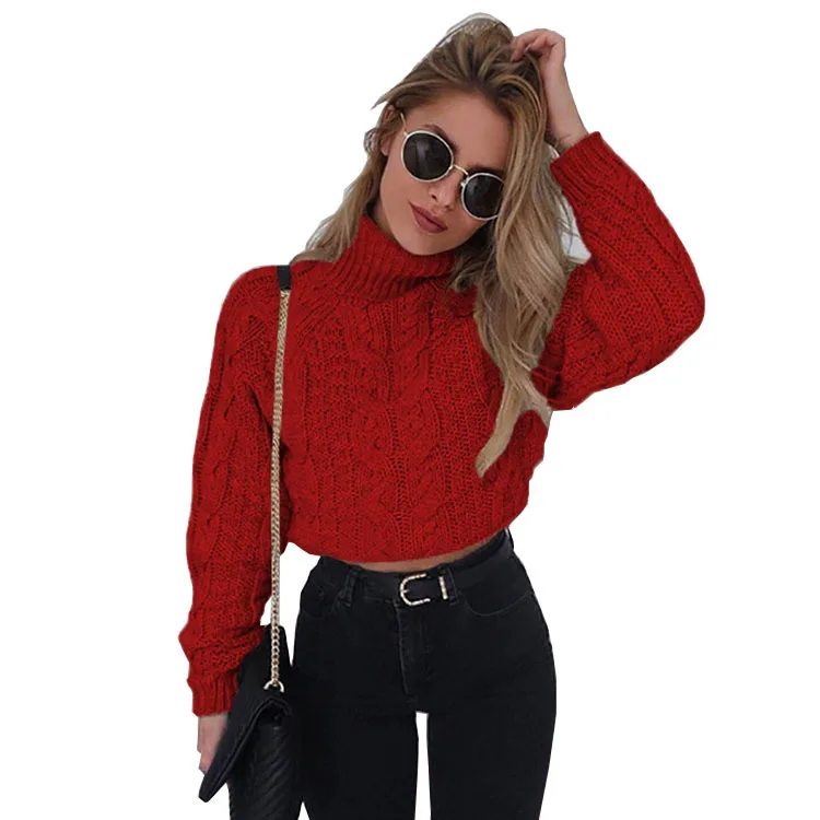 

Woomen Long Sleeve High Neck Twist Knitted Sweater for Fall/Winter 2019