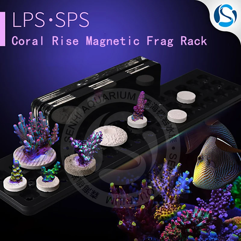 Магнитные стеллажи Senhi Biotech с коралловым подъемом стойки для кораллы фрагмент