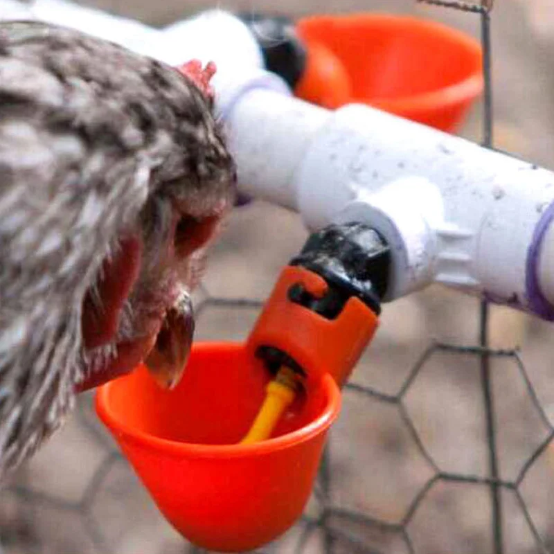 

2Pcs Poultry Chicken Birds Automatic Water Cups Nipple Drinking Bowl Hanging Waterer Easy Installation with Screws Nuts