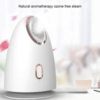 facial steamer thermal spray face humidifier high temperature resistance heavy fog fine mist facial steamer for for office