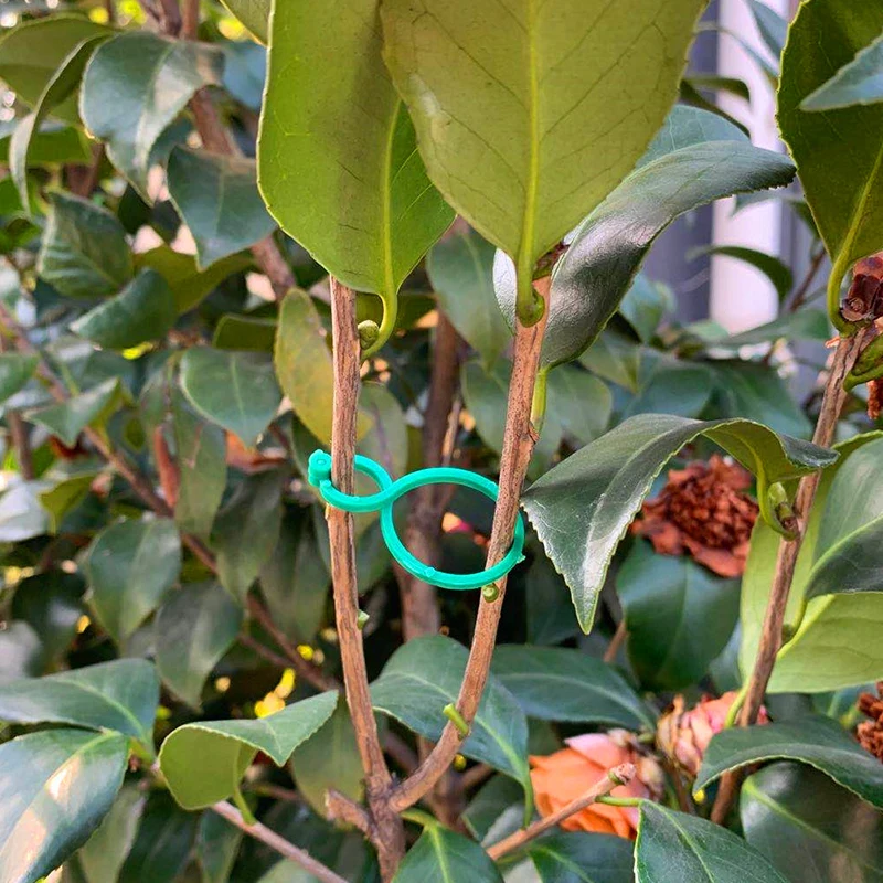 

100 шт. сад лоза обвязки зажимы завод в комплекте с кольцом-держателем томатный Горячий