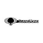 4 шт., наклейки на автомагнитолу Ssangyong Rexton Kyron Korando
