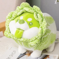 kawaii vegetable fairy plush toy japan cabbage dog fluffy stuffed animals dog soft shiba inu doll baby kids toys plushie gift