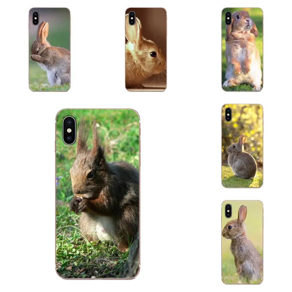 Симпатичные Mr коала Пасха Банн Кролик для huawei Honor 4C 5A 5C 5X6 6A 6X7 7A 7C 7X8 8C 8S 9 10 10i 20 20i Lite