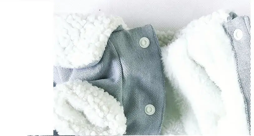 S-XXL зимнее теплое джинсовое пальто с хлопковой подкладкой для питомцев маленьких