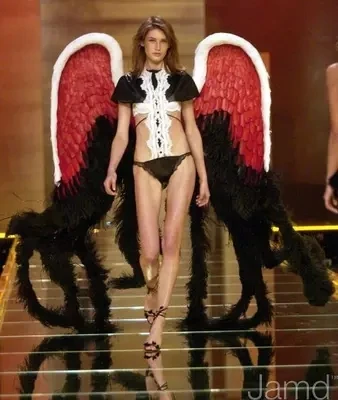 

Lastest hot red angel feather wings for wedding photo Catwalk shows Stage performance Pure handmade Fashion props