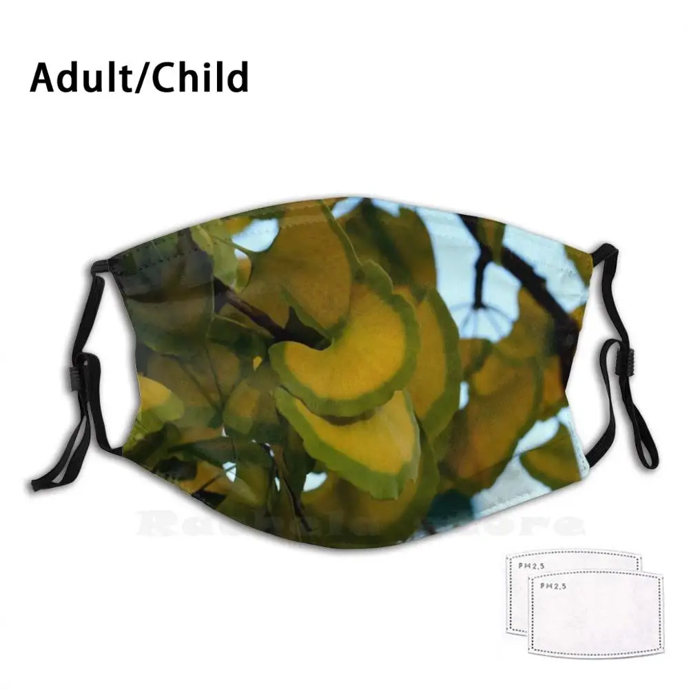 

Ginkgo Adult Kids Anti Dust Filter Diy Mask Warwick New York Ginkgo Tree Leaves Nature