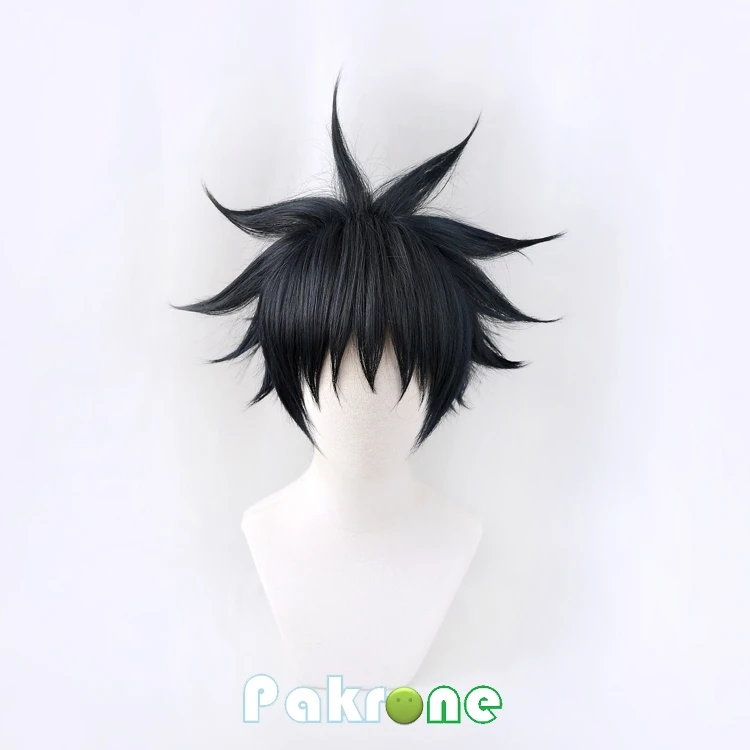 

Jujutsu Kaisen Fushiguro Megumi Cosplay Wig Short Heat Resistant Synthetic Hair