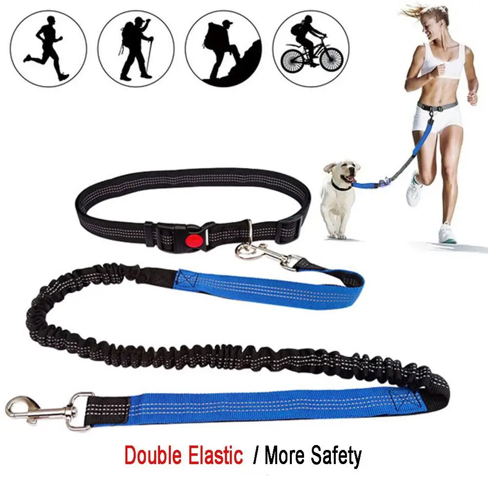 

120/150/200/300cm Durable Dogs Leashes Strap Elastic Leash Pet Traction Belt Dog Leash Dog Belt Rope Outdoor Head Collars Chain