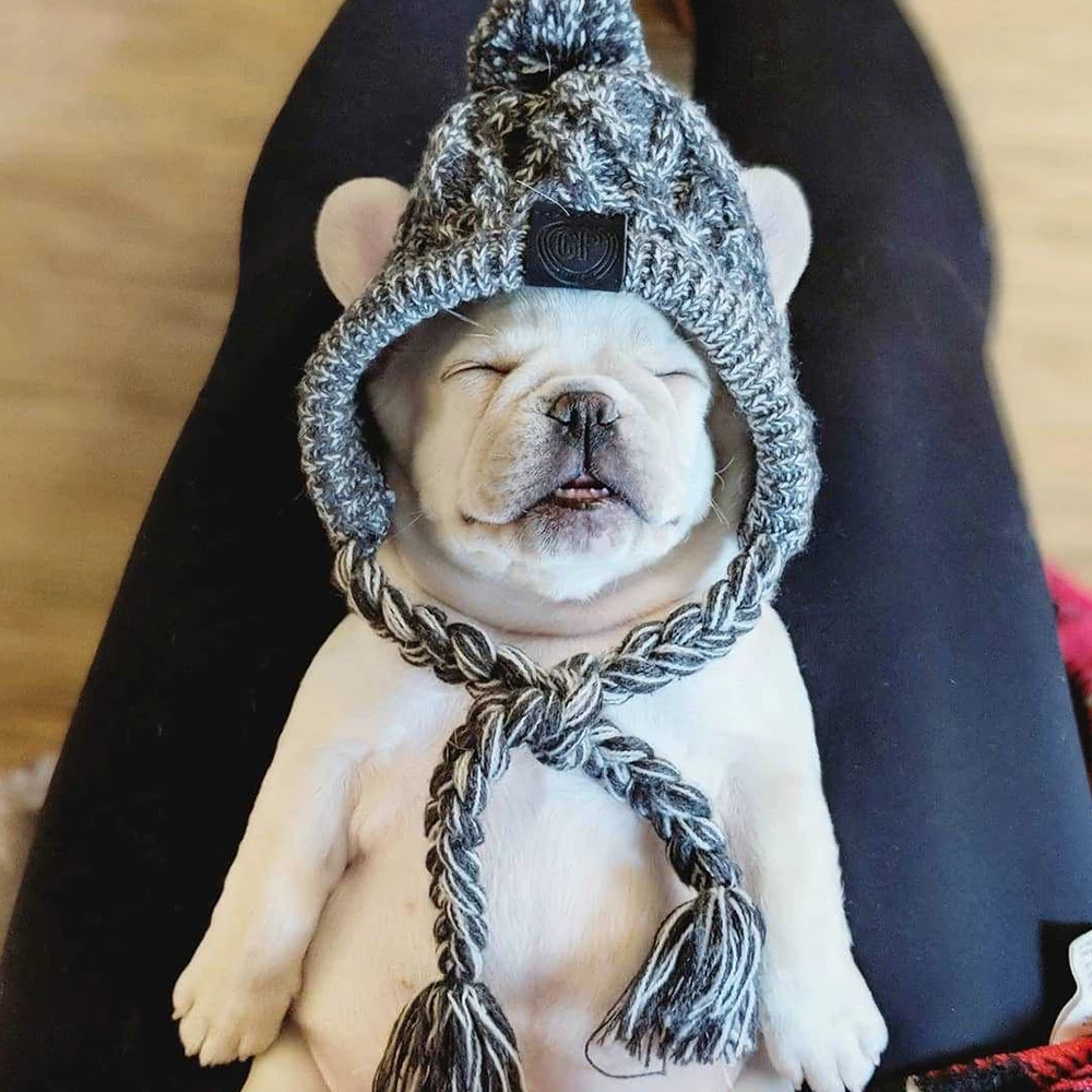 

Winter Pet Dogs Hat Cap Christmas Warm Windproof Pet Hats Knitted Dog Accessories For Small Medium Dogs Outdoor Pet Caps Costume