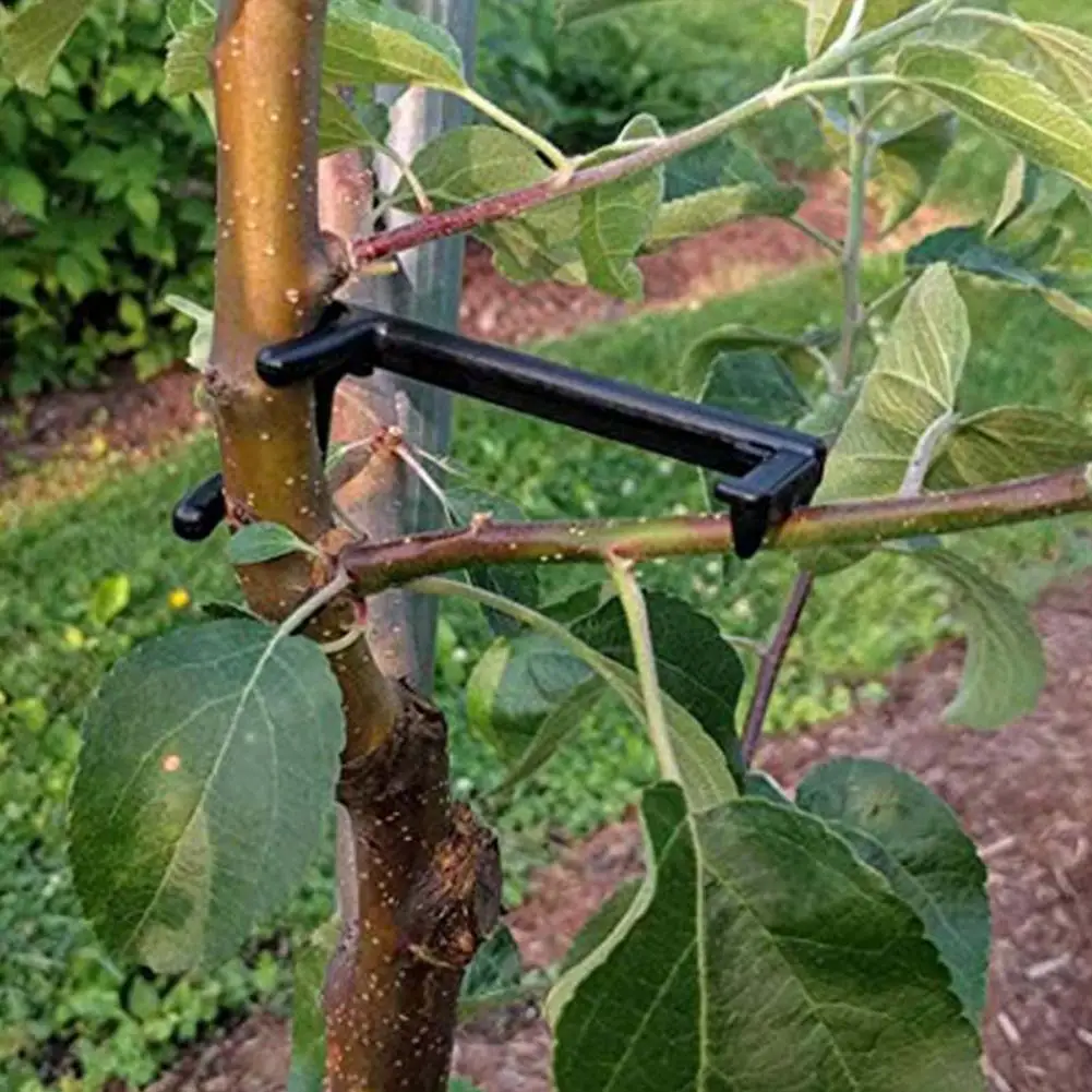 3050 pcs fruit tree branches holder fruit branch spreader tree branch support frame for strong branch for tree branches fixe free global shipping