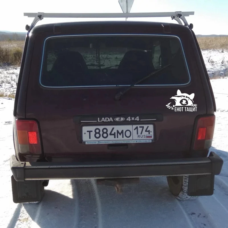 Забавные автомобильные наклейки енот Стикеры для автомобиля Стайлинг