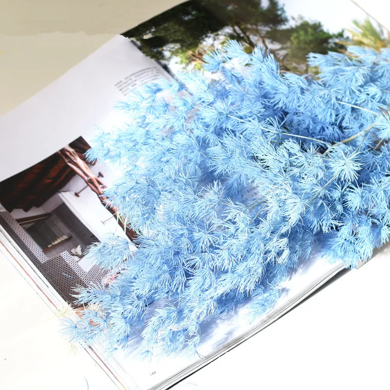 

80gram/lot 50cm natrual Fleur Eternelle Plant Asparagus Myriocladus pine tree peng lai pine Christmas Decorations