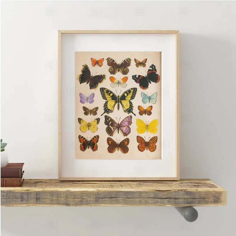 

Butterflies Vintage Poster And Print Insect Antique Illustration Wall Art Canvas Painting Picture For Living Room Home Decor