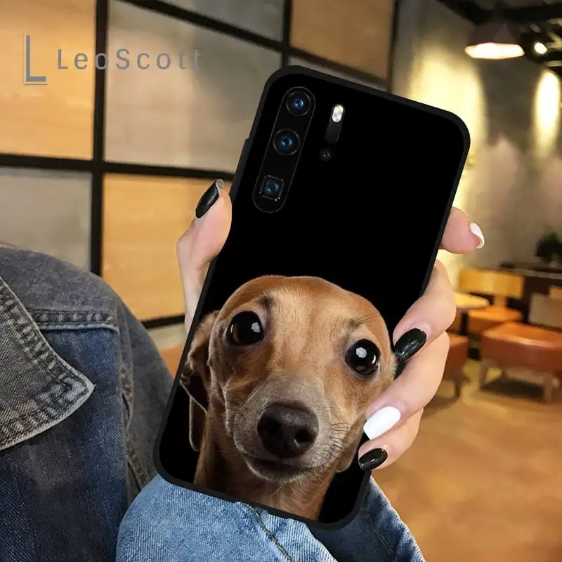 

Cute Galgo Greyhound Dog Phone Case For Huawei honor Mate P 9 10 20 30 40 Pro 10i 7 8 a x Lite nova 5t