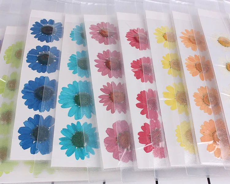 

120pcs Pressed Press Dried Daisy Dry Flower Plants For Epoxy Resin Pendant Necklace Jewelry Making Craft DIY Accessories