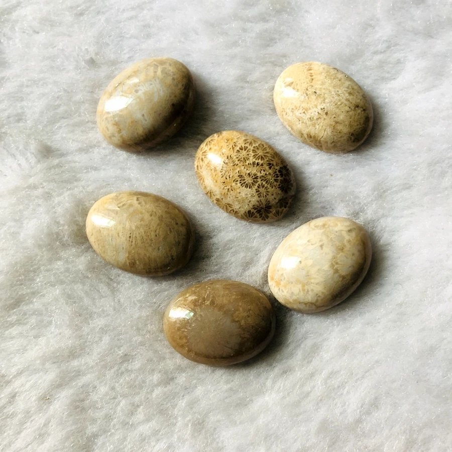 

Wholesale 2pcs/lot Coral Fossils Jasper Bead cabochon 15x20mm Oval Gem stone Bead Cabochon Ring Face