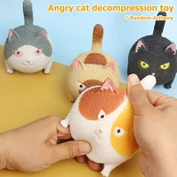 4 pcs pinch angry cat squeeze ball toys squeeze stress relief ball decompression artifact vent toy squeeze animal toys kids gift