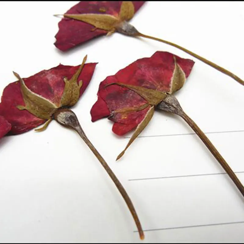 6 шт. искусственные сухие растения для ароматерапии свеча подвеска из эпоксидной