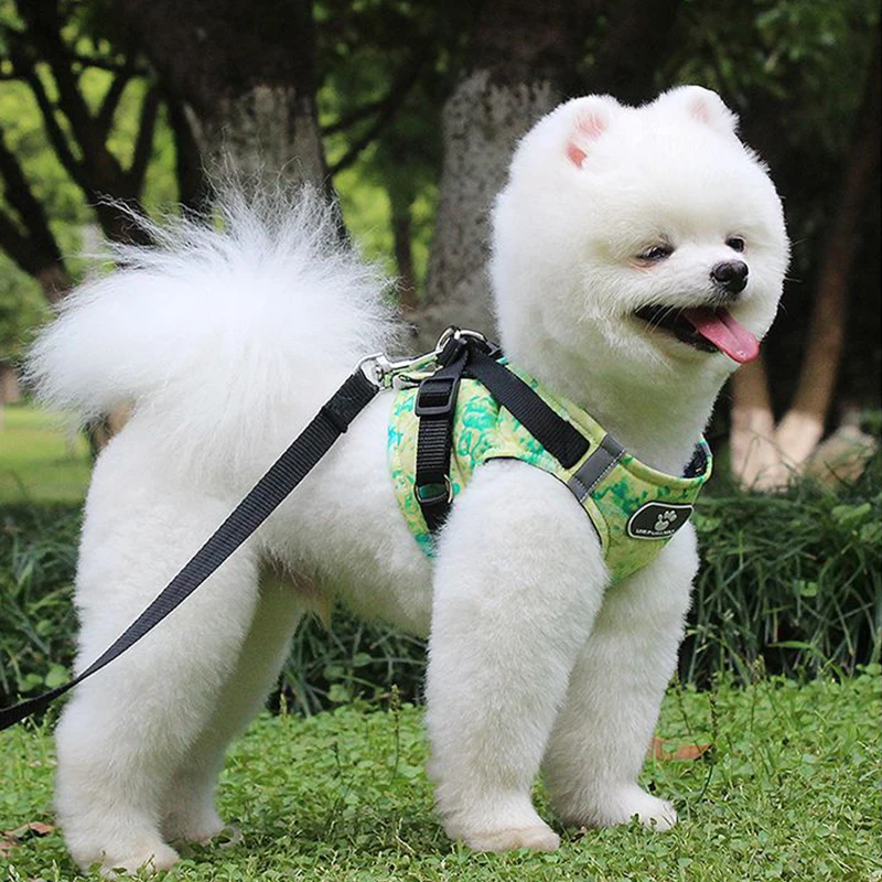 

Winter Dog Harness Vest Collar with Leash Set Pet Walking Harness Adjustable Cat Led Reflective for Puppy Small Medium Large Dog