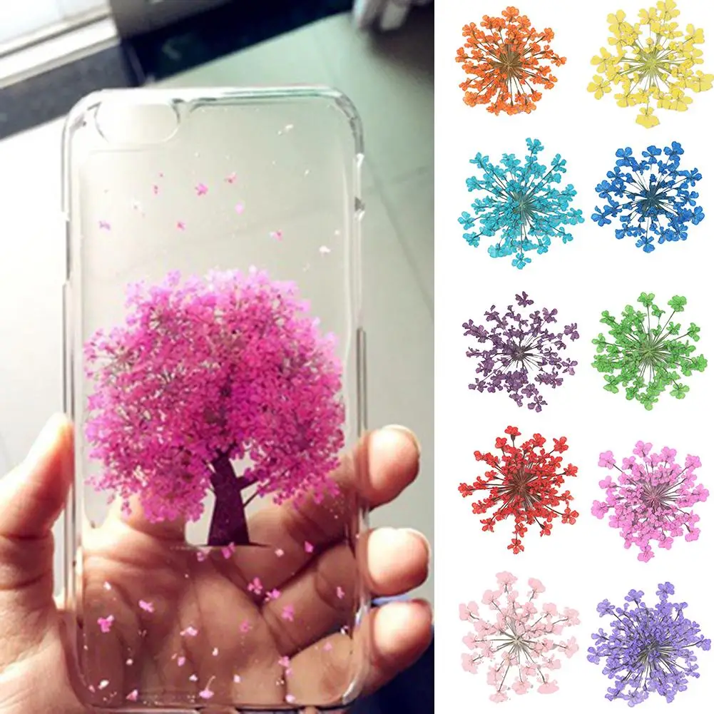100Pcs Pressed Dried Ammi Majus Flower Epoxy Resin Nail Craft DIY Phone Decor | Красота и здоровье