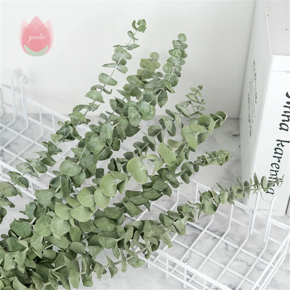 10/20 шт. натуральный эвкалипт для листьев сушеные цветы украшения сделай сам дома